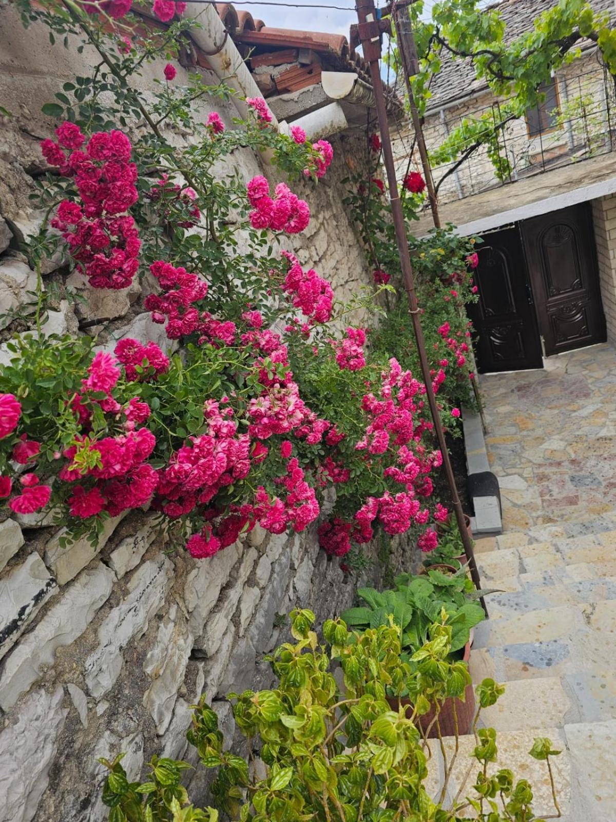 Luigi Guest House Gjirokastër Eksteriør bilde