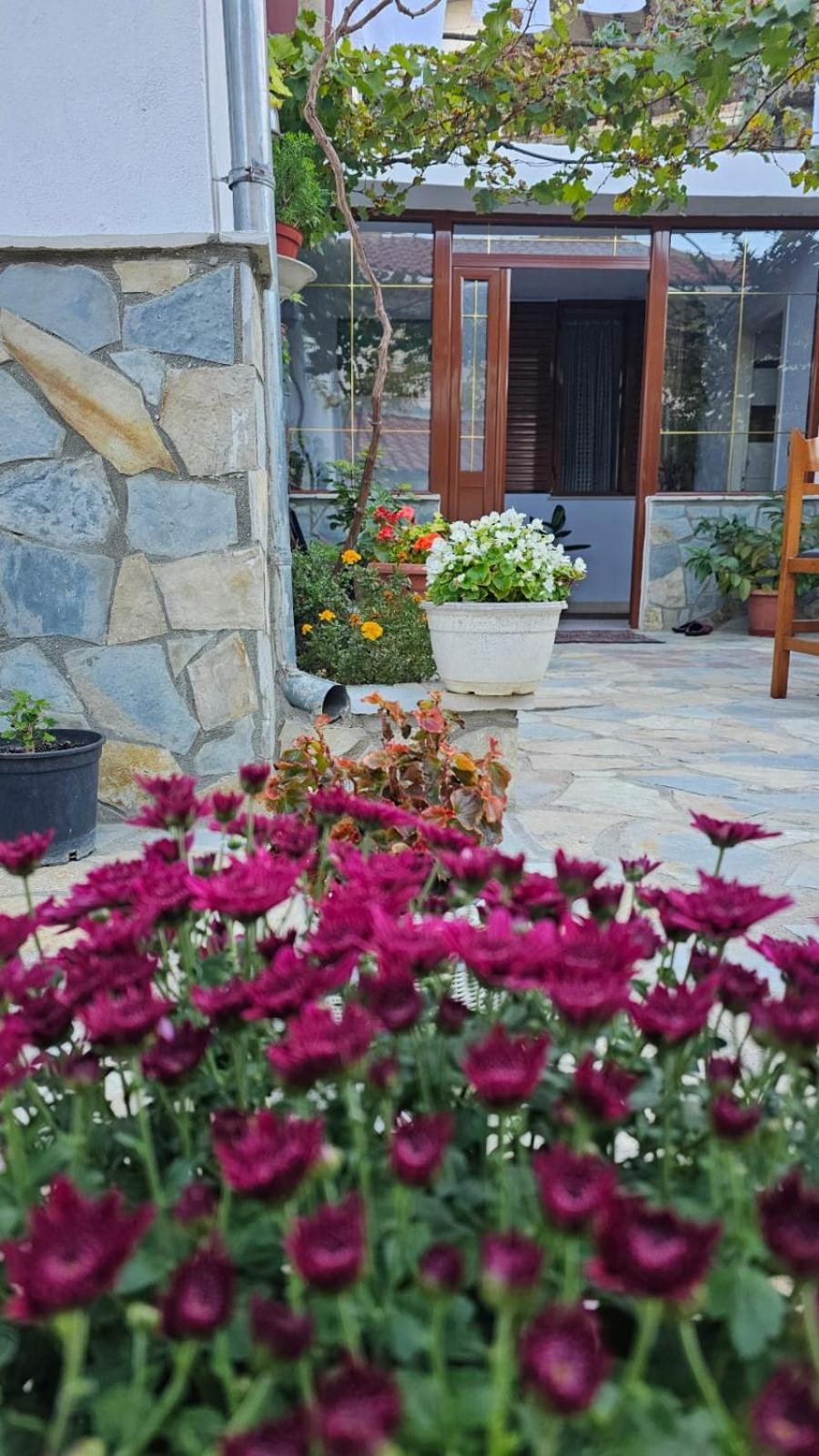 Luigi Guest House Gjirokastër Eksteriør bilde